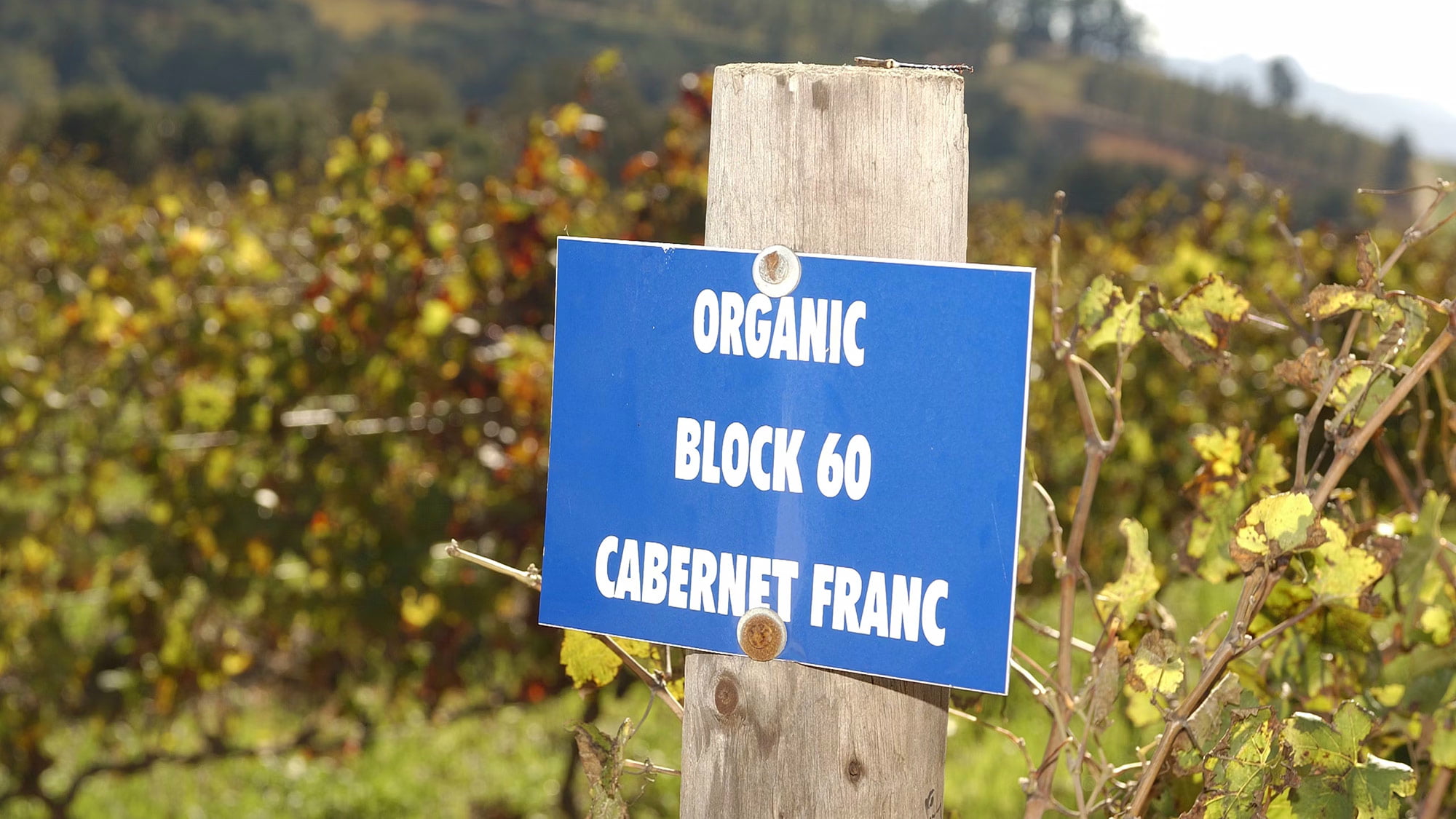 ökologischer Anbau, Umweltschutz, Terroircharakter, Biowein, Biodynamischer Weinbau