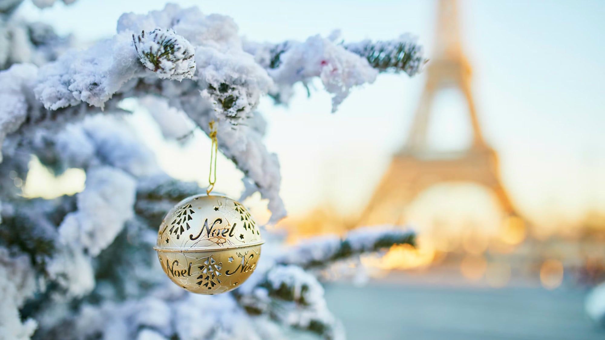 Weihnachten, Silvester, Frankreich, Rhône, Lirac