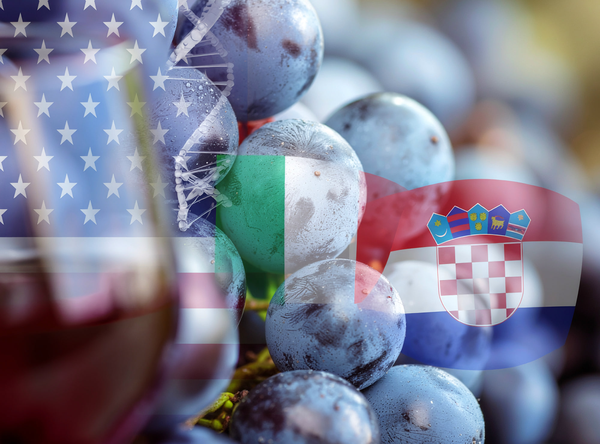 Zinfandel Day, Kalifornien, Rotwein