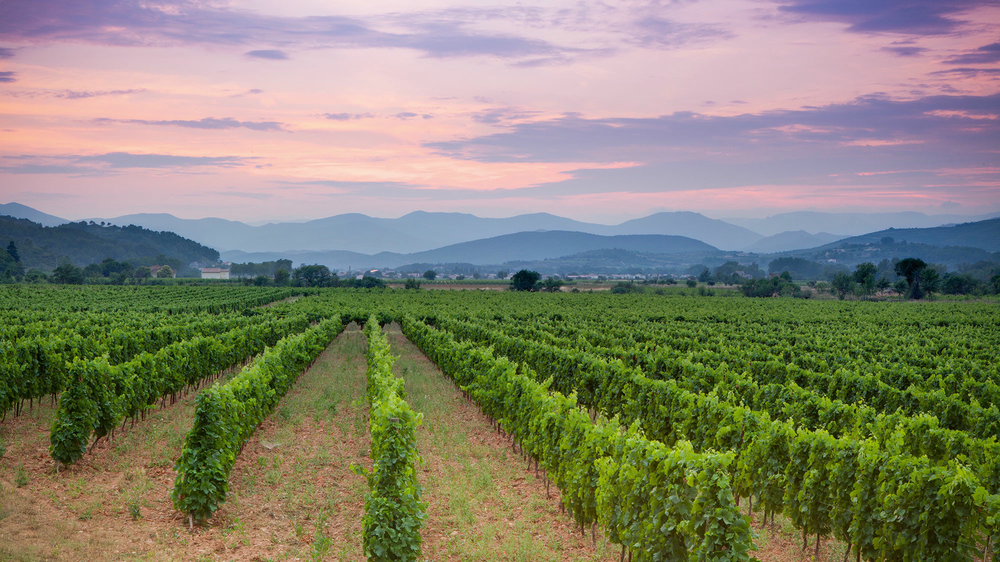 Die Wiederverzauberung der Welt beginnt mit bewusstem Genuss