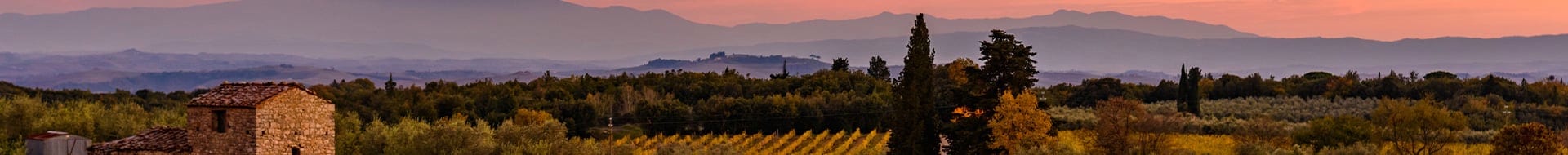 Image of Ambrogio e Giovanni Folonari