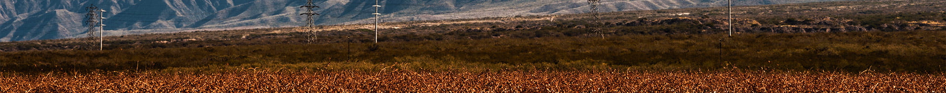 Image of Bodega Aleanna