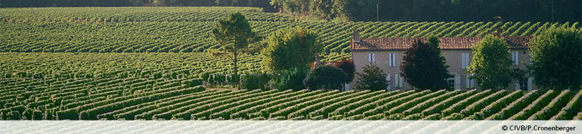 Image of Château Haut Brion