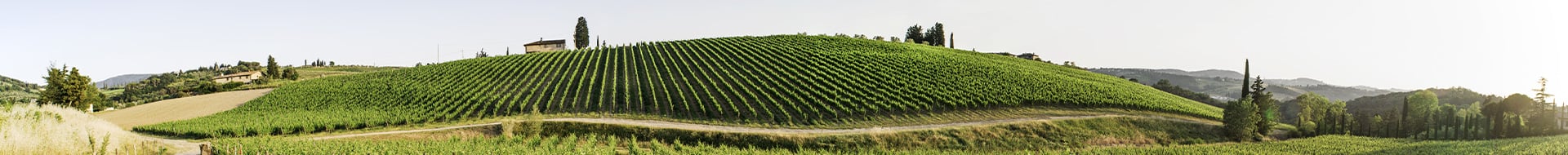 Image of Campo Al Mare