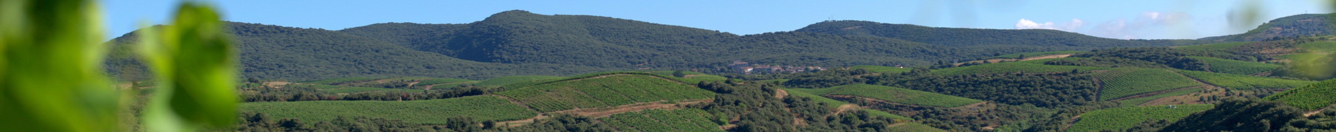 Image of Château de la Liquière