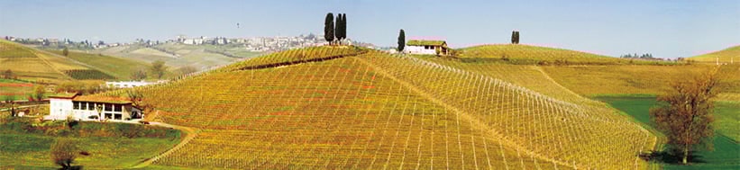 Image of Michele Chiarlo