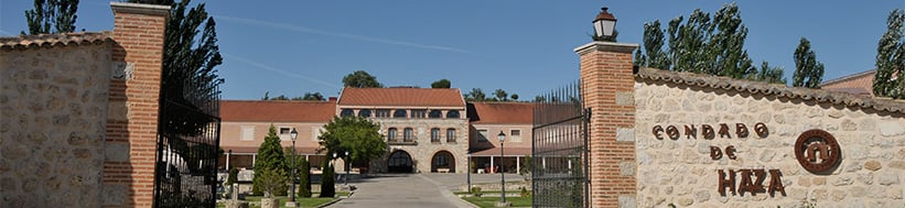 Image of Condado de Haza-Familia Fernández Rivera