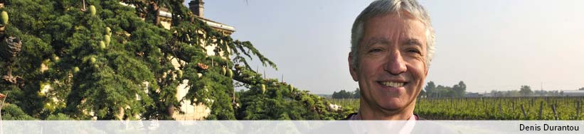 Château l'Eglise Clinet