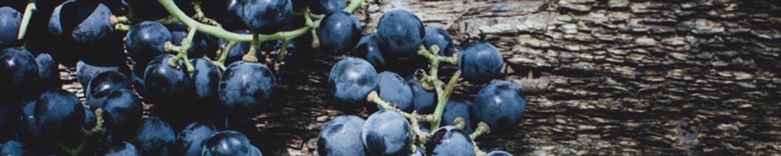 Image of Department 66