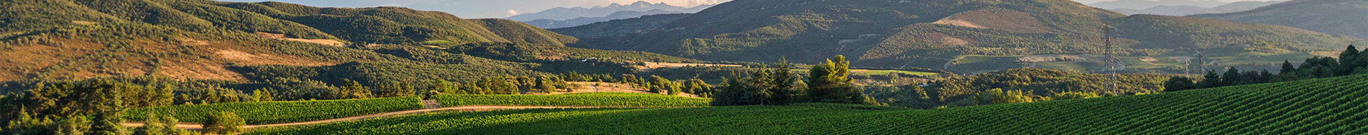 Domaine de Baronarques