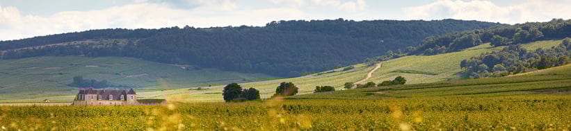 Image of Frédéric Magnien