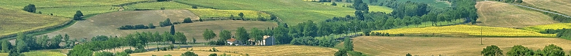 Image of Domaine de L'Agly