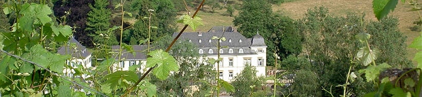 Image of Egon Müller-Scharzhof