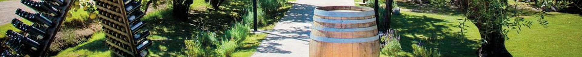 Puerto Ancona - El Enemigo Wines