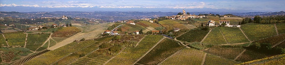 Image of Bruno Giacosa