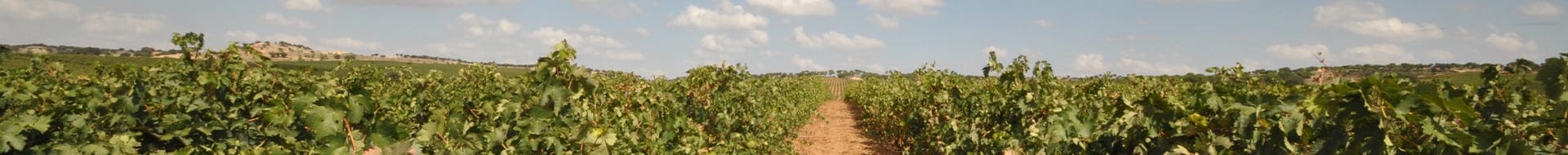 Alejandro Fernández