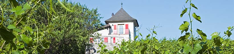 Les Fils de Charles Favre