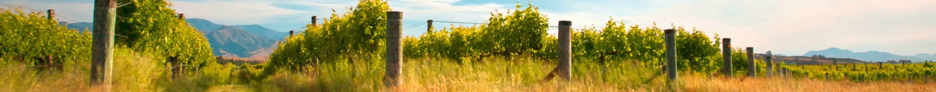 Image of Hugh Hamilton