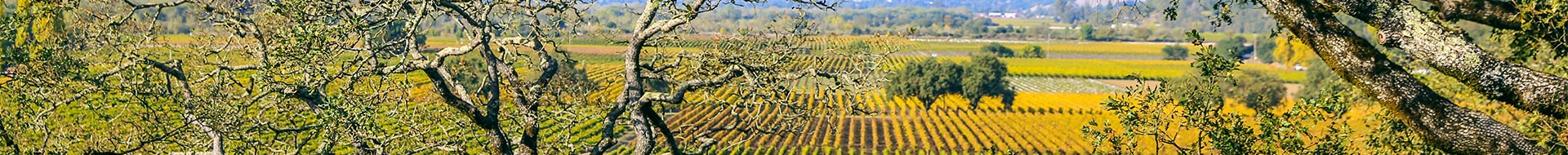 Joseph Phelps Vineyards