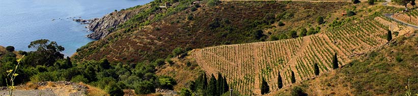 Image of Clos Mogador