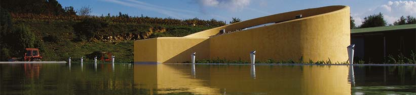 Image of Tenuta Luce