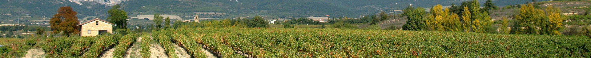 Image of Luis Cañas