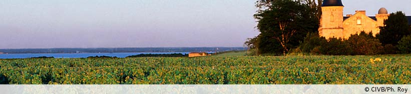 Château Cambon La Pelouse