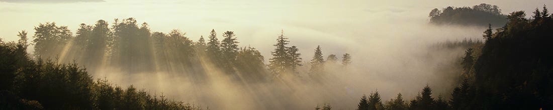 Monkey 47 Black Forest Distillers GmbH