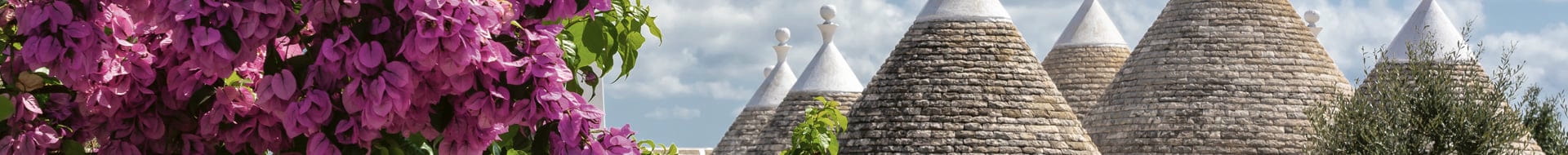 Image of Cantine Paradiso