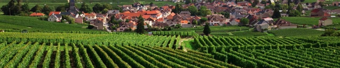 Image of Château Pouilly