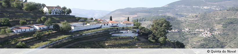 Image of Quinta do Noval