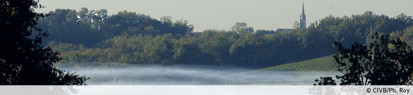Château Cheval Blanc