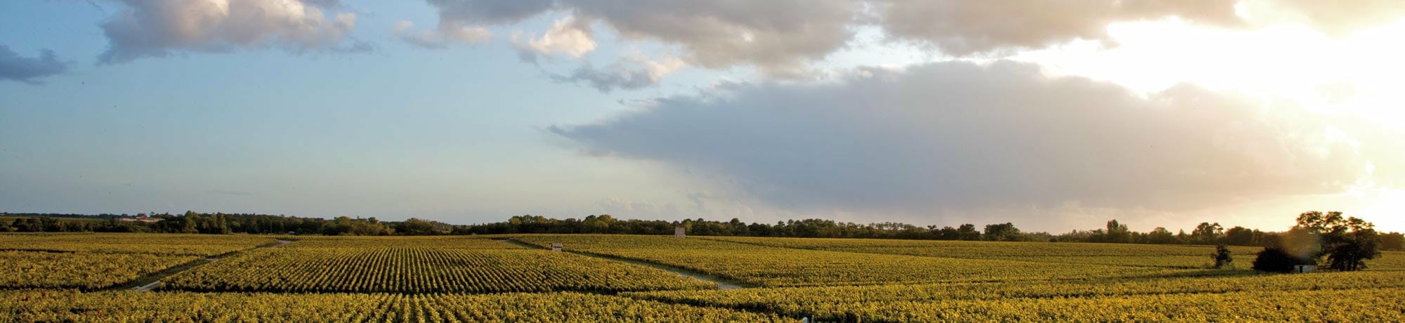 Château Pontet Canet