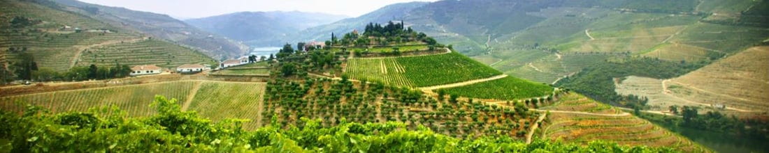 Quinta do Vale Meão