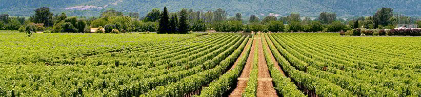 Image of Prisoner Wine Company