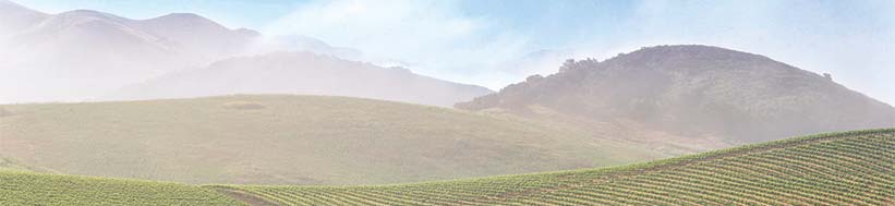 Image of Six Eight Nine Cellars