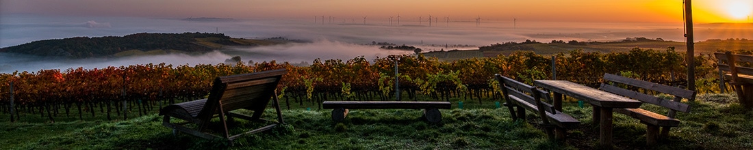 Image of Wagner-Stempel