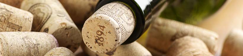 Image of Schloss Vollrads