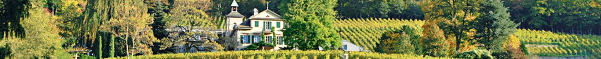 Kopp von der Crone Visini